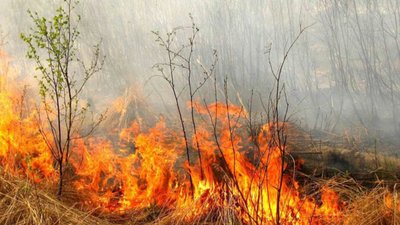 Синоптики попередили про високу пожежну небезпеку на Львівщині найближчими днями