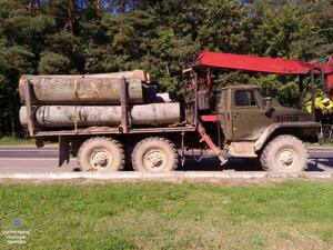 На Львівщині чоловік перевозив без документів колоди дерев під виглядом дрів (фото)