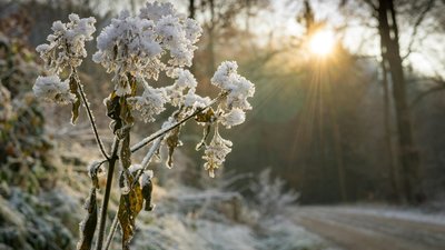 Якою буде погода у Львові та області завтра, 8 січня