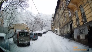 У Львові на припаркований автомобіль впала гілка (ВІДЕО)