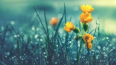 Якою буде погода у Львові та області завтра, 1 квітня