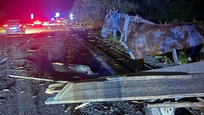 Смертельна ДТП на Львівщині: на трасі Київ-Чоп зіткнулися авто та підвода