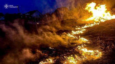 У Львові за день померли троє людей, які постражадли через підпал сухостою