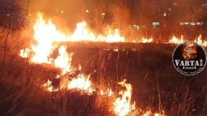 У Львові горіла суха трава (фото, відео)