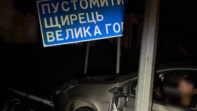 Біля Львова п'яний водій протаранив дорожній знак