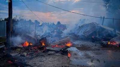 На Київщині сталася масштабна пожежа у притулку для тварин