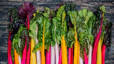 На Львівщині знищено партію листового буряка з Італії, в якій знайшли небезпечного шкідника