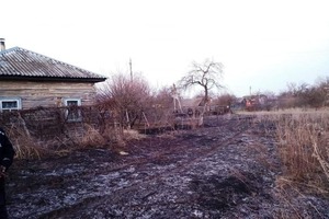 На Чернігівщині невідомі побили пожежників, які гасили сухостій (фото)