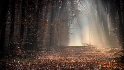 Якою буде погода у Львові та області завтра, 16 грудня