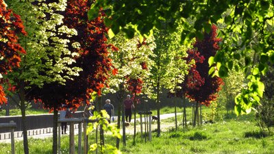 Холодна весна: синоптикиня розповіла, коли очікувати потепління в Україні