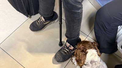 Службовий собака змусив роззутися пасажира автобуса, який прямував до Польщі (ФОТО)