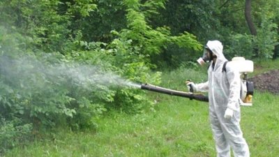 У Львові розпочинають обробку парків від кліщів: графік та перелік зон