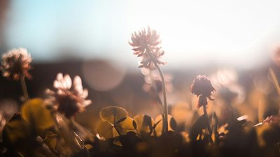 Якою буде погода у Львові та області завтра, 23 липня