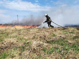 На Львівщині на Великдень зафіксували 24 пожежі сухої трави