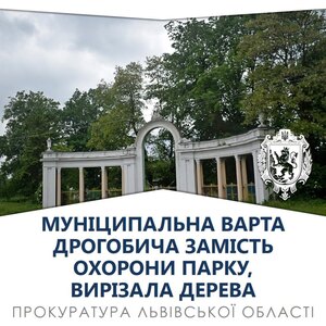 У Дрогобичі муніципал замість охороняти парк, зрубував у ньому дерева