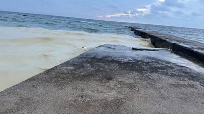 В Одесі після російських атак міські пляжі вкрилися масними плямами і загиблими птахами (ФОТО, ВІДЕО)