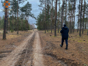 На Волині другий день розшукують неповнолітню дівчину (ФОТО)