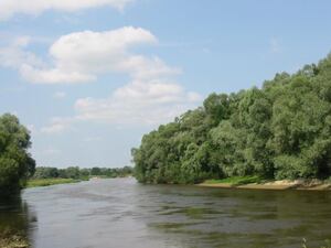 На Львівщині у річці потонув чоловік у свій день народження