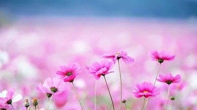 Якою буде погода у Львові та області завтра, 26 серпня