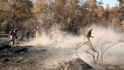 Українські рятувальники допомагатимуть гасити пожежу у Франції