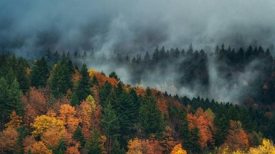 Якою буде погода у Львові та області завтра, 9 листопада