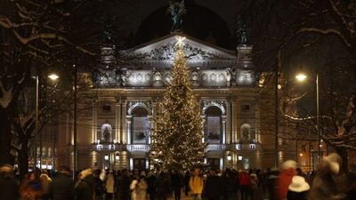 Програма святкових подій у Львові: коли відбудеться відкриття головної ялинки міста