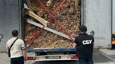 За матеріалами БЕБ на Львівщині судитимуть організаторку контрабанди лісоматеріалів