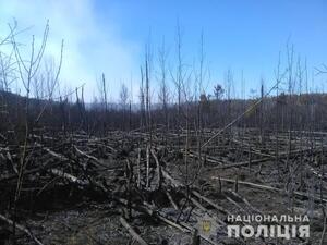 Правоохоронці порушили справу через пожежу в Чорнобильській зоні (фото)