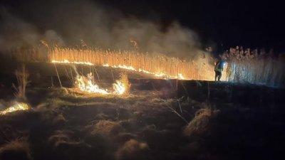 На Львівщині за добу вигоріло понад 2 гектари сухої трави