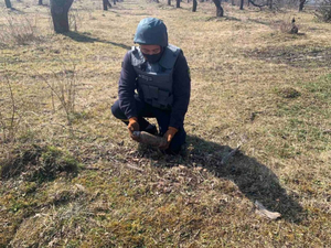 На Львівщині за добу піротехніки знищили три застарілі артилерійські снаряди