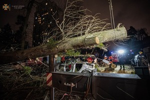 У Києві дерево впало на авто, водій загинув (фото, відео)