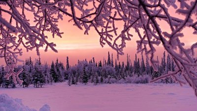 Якою буде погода у Львові та області завтра, 20 січня