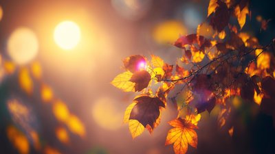 Якою буде погода у Львові та області завтра, 2 листопада