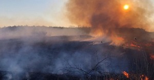 На Львівщині від рук паліїв трави загинули троє людей