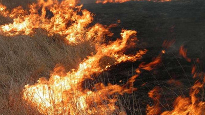 На Львівщині у палаючих чагарниках і стерні рятувальники знайшли тіло чоловіка