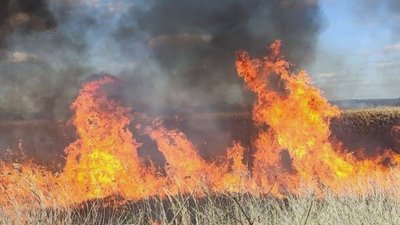 За добу на Львівщині зафіксовано 18 пожеж сухої трави