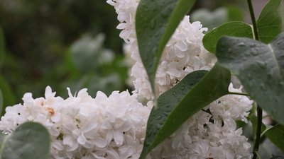 Яким буде день у Львові та області завтра, 5 травня