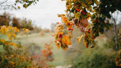 Якою буде погода у Львові та області завтра, 3 вересня