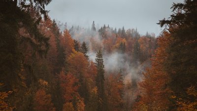 Якою буде погода у Львові та області завтра, 27 вересня