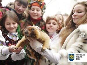 День Зимобора: львівський бабак Маруся спрогнозує українську весну (фото)