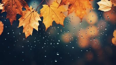 Якою буде погода у Львові та області завтра, 11 листопада