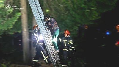 У Львові рятувальники зняли з чотириметрового дерева жінку разом із її котом