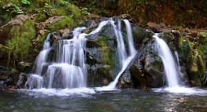 На Львівщині учень 6-го класу впав у водоспад і потонув на очах у людей (ФОТО)