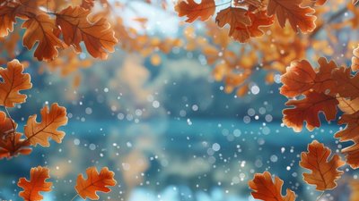 Якою буде погода у Львові та області завтра, 2 грудня