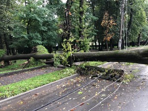 На Прикарпатті рятувальники ліквідовують наслідки негоди (ФОТО)