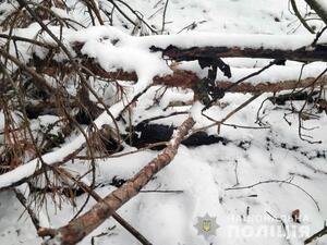 У поліції повідомили подробиці зухвалого вбивства молодої жінки на Рівненщині (ФОТО)