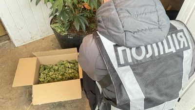 Львів'янин разом з мамою вирощував коноплі та збував наркотики