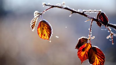 Якою буде погода у Львові та області завтра, 3 грудня