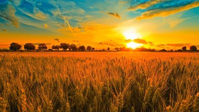 Україна опиниться серед найтепліших регіонів Європи, - синоптик
