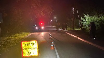 У Житомирі розшукують водія, який збив 11-річну дівчинку та втік з місця ДТП